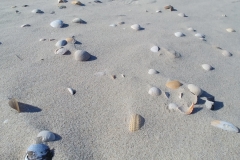 20190403_101405